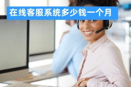 在线客服系统多少钱一个月