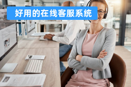好用的在线客服系统有哪些_国内外客服系统对比与推荐 