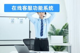 在线客服功能系统定义_功能作用_品牌推荐与选择指南