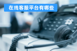 在线客服平台有哪些品牌_功能作用以及国内外品牌对比测评