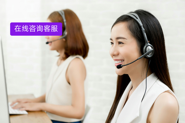 盘点2025 年在线咨询客服系统品牌排行榜：谁才是企业的“最佳拍档”？