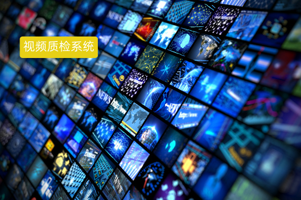 视频质检系统案例