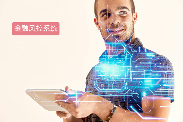 金融风控系统：定义、推荐品牌与选择方法