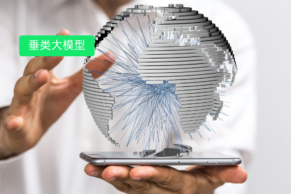 什么叫垂类大模型、应用场景及应用案例