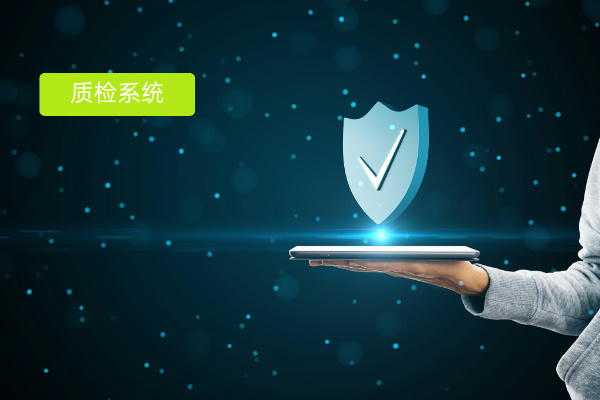 保险行业从业者必看！优质质检系统服务商大盘点​