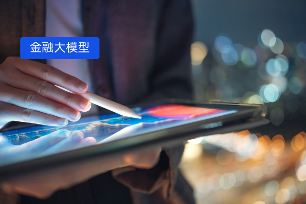 金融领域大模型