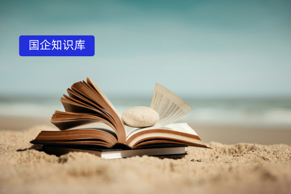 国有企业知识库改革的方案