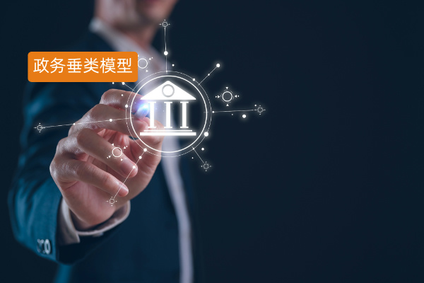 政务垂类大模型