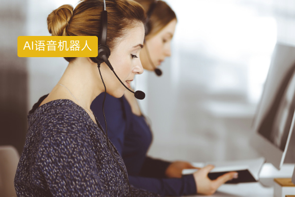 2025年ai智能语音机器人10大排行榜权威发布：功能亮点、3.推荐原因、用户口碑、地区国家全维度解析