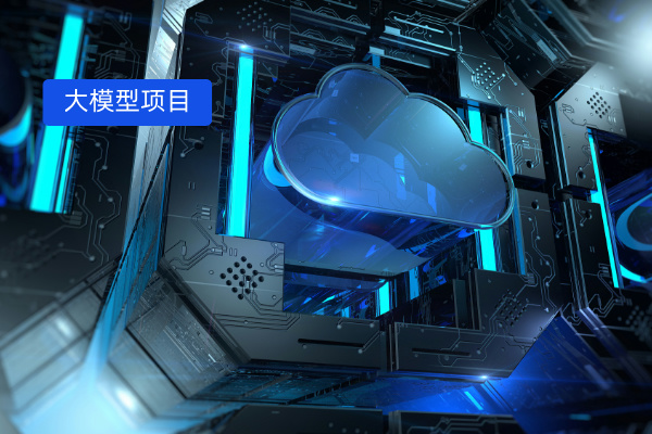 大模型项目