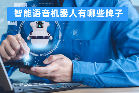 智能语音机器人有哪些牌子