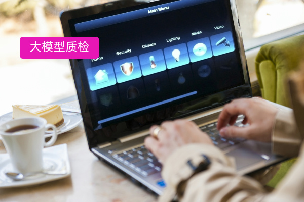 如何使用大模型进行智能质检？降低运营成本？