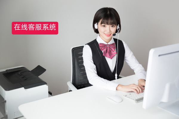 在线客服系统2025年