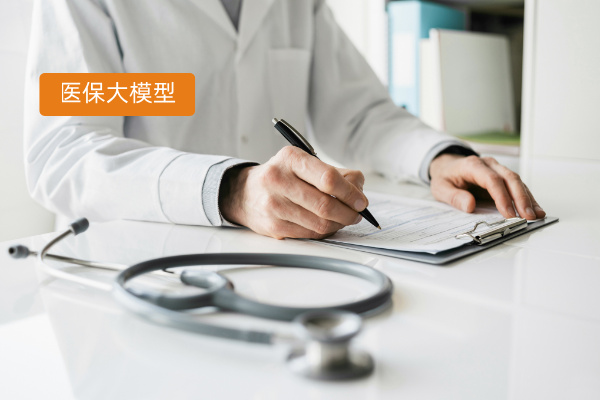 医保垂类大模型解决方案