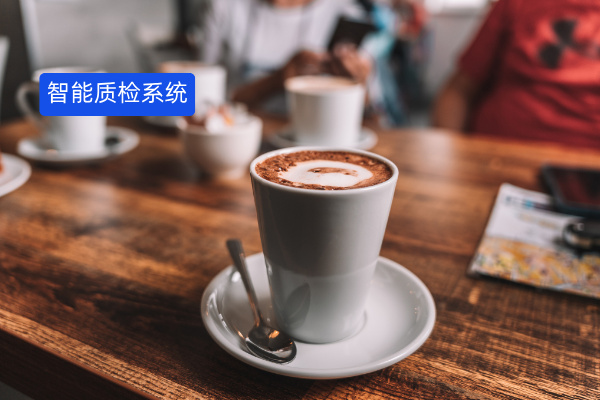 大模型智能质检系统解决方案