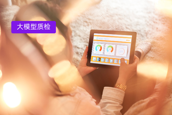 汽车服务全周期升级：得助智能大模型质检系统筑牢合规与体验双防线​