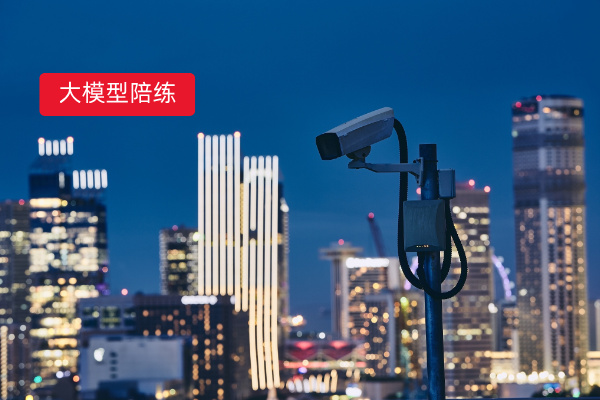 大模型智能陪练.