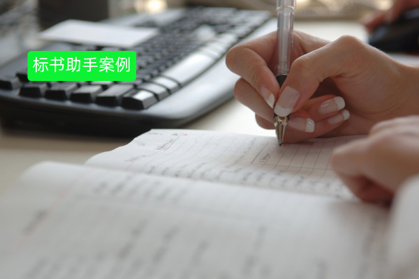 标书AI写作助手案例