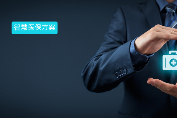 大模型智慧医保解决方案