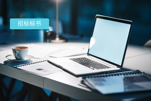 招标标书