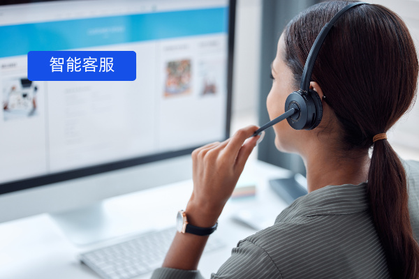 ai智能客服还是人工客服好？从功能、服务、成本、企业管理多方面对比！