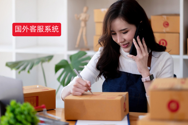 国外版在线客服系统